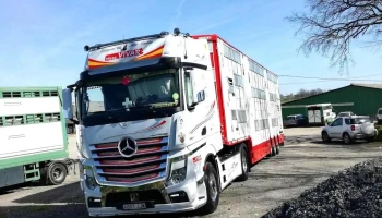 Bellivier Sas - 16270 Roumazières-Loubert Bellivier Sas - 16270 Roumazières-Loubert