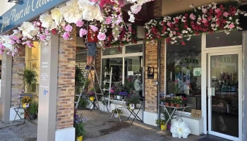 Centre Commercial - 78650 Beynes