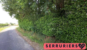 Garnier - 71500 Branges Garnier - 71500 Branges