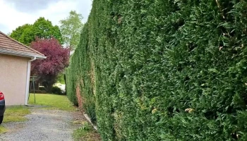 Leffler multiservices - France