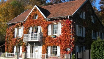 Les Blancs Volets - 70290 Plancher-Bas