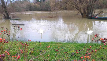 Mary-sur-Marne - France
