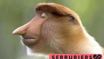 Stalder - 25400 Audincourt Stalder - 25400 Audincourt