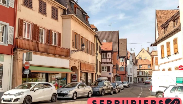 Alsace Multi Services - 67600 Sélestat