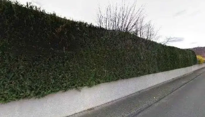Ama Sas -  Tout - Aurec-sur-loire