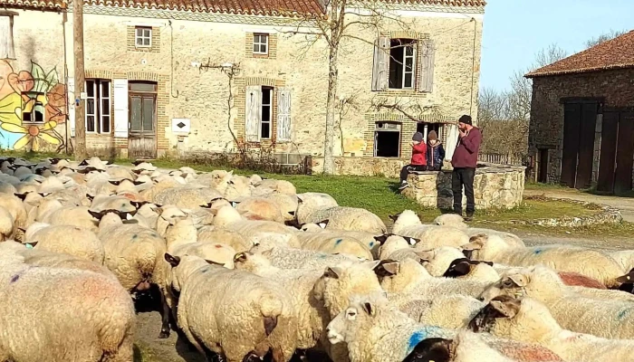 Cpie Val De Gartempe Ferme Pedagogique Autres - Lathus-saint-rémy