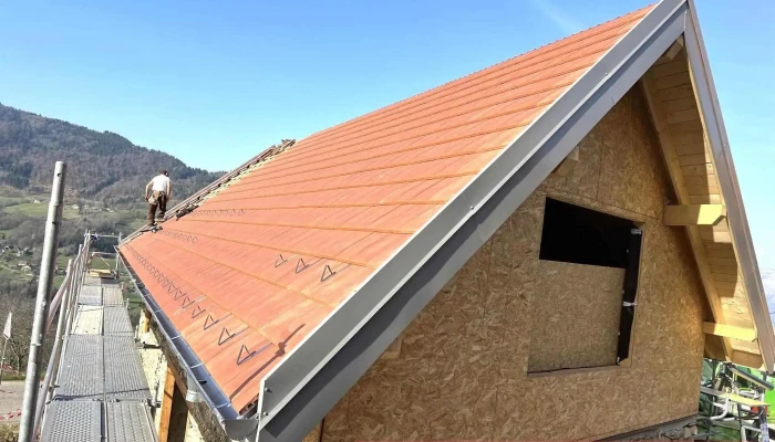 Entreprise De Charpente Saint Vincent De Mercuze -  Exterieur - Saint-vincent-de-mercuze