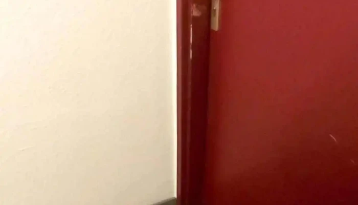 Les Clefs Du Bonheur Pau -  Videos - Billère