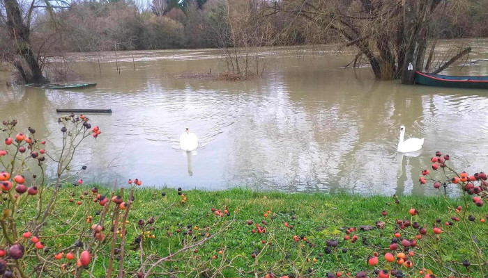 Mary-sur-Marne - France