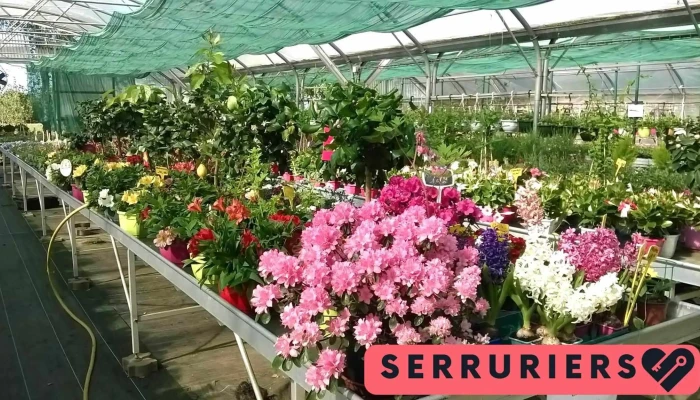 Serres Energies Solidaires - 79400 Azay-Le-Brûlé