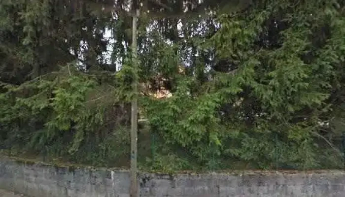 Thevenin Metallerie Serrurerie -  Street View Et 360deg - Saint-baldoph